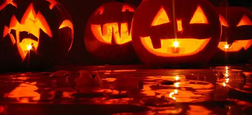 Un accrobranche pour fêter Halloween !