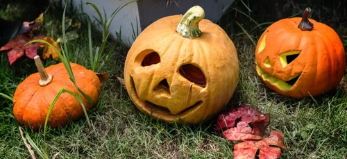 Vacances Scolaires : la ferme de Viltain passe à l’heure d'Halloween