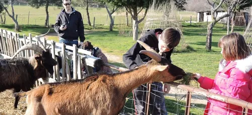 Une nouvelle ferme pédagogique est accessible à Paris