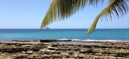 « Noël kantik bò kay » : un livre pour découvrir les cantiques...