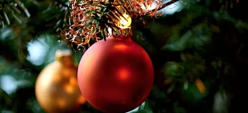 Des livraisons de sapins décorés à domicile pour les retardataires...