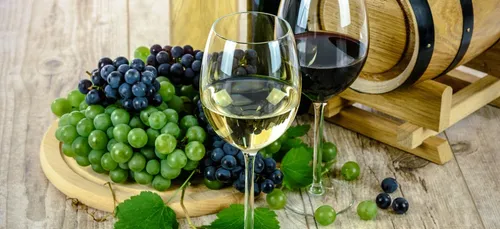 Les ateliers Yoga et Vin : un mélange parfait pour se faire du bien !