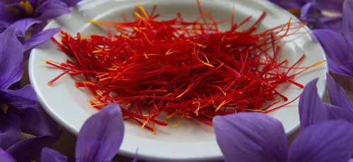 À la découverte du safran parisien !