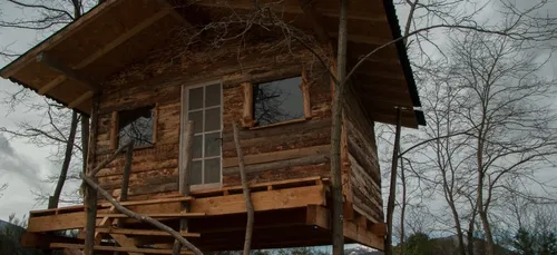 La forêt s’invite à Paris avec une cabane dans un arbre géant