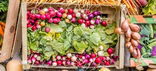 La fête des ruches : des dégustations et des ateliers pour célébrer...