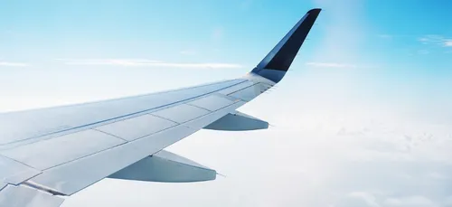 Un homme a tenté de prendre l’avion tout nu ! (vidéo)