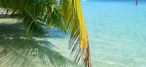 "Départ demain" : des voyages à prix réduits jusqu’à 21 jours avant...