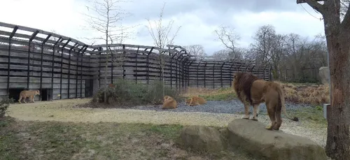 Parc Zoologique de Paris : entrée gratuite pour les enfants ce...