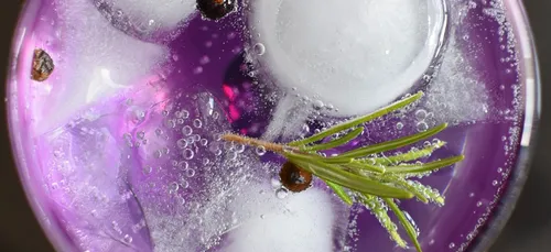 Un bar éphémère entièrement dédié au Gin débarque à Paris !