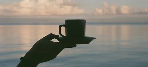 Le maté fait son show à Paris ! (vidéo)