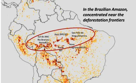 Brésil : en un an, la déforestation a presque doublé en Amazonie !
