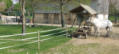 La fête des jardins et de l’agriculture urbaine aura lieu ce week-end