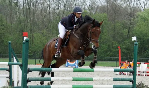 Les Journées du cheval : démonstrations et initiations gratuites au...