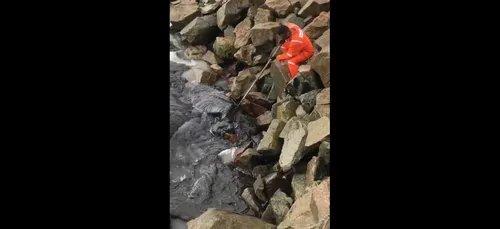 Brésil : des plages polluées aux hydrocarbures (vidéo)