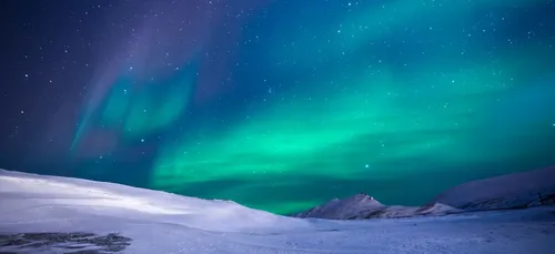 Airbnb cherche 5 volontaires pour une mission scientifique en...