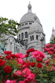 Venez faire un tour aux vendanges de Montmartre !