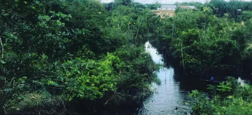 Musique traditionnelle d'Amérique Latine au festival "Villes des...