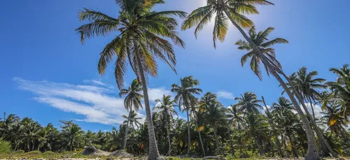 La Bachata inscrite au patrimoine mondial immatériel de l'Unesco...