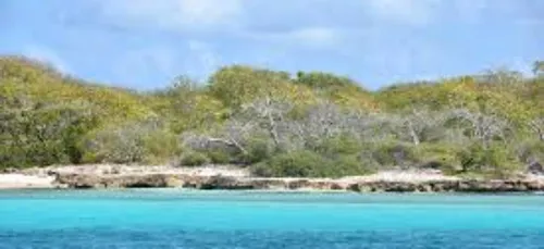 Le salon de la gastronomie des Outre-Mer et de la Francophonie fête...