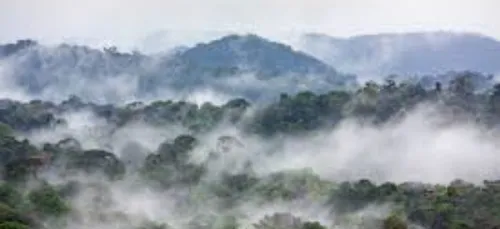 Amazonie : une famille survit plus d’un mois dans la jungle (vidéo)