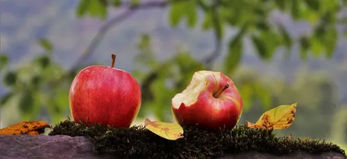 Europe :  les consommateurs veulent manger plus local et responsable