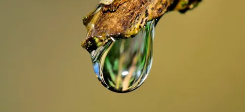 Brésil : A Rio de Janeiro, l’eau courante est contaminée