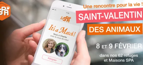Profitez de la Saint-Valentin pour adopter un animal