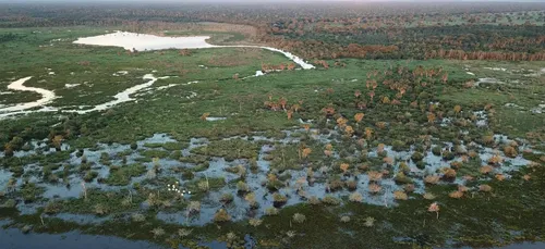Le Pantanal dévoré par les flammes au Brésil