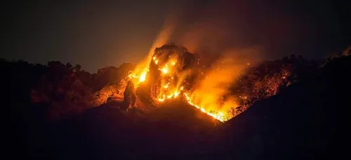 130 hectares de forêt détruits par un incendie au Mexique (vidéo)