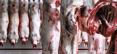 Argentine : bras de fer engagé entre le gouvernement et les...