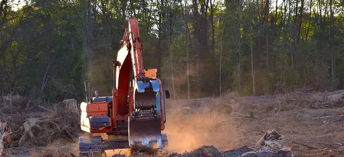 Pour WWF, 94% de la déforestation en Amazonie est illégale