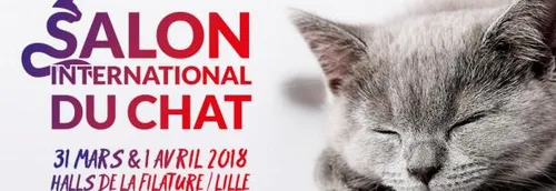 JEU TERMINE! Vos places pour le SALON INTERNATIONAL DU CHAT