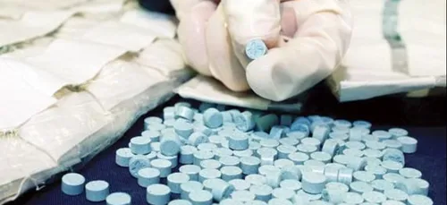 Opérations anti stup dans le Nord : le bilan