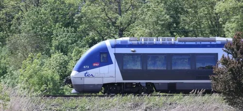 Un TER percute 4 personnes près de Saint-Jean-de-Luz - 3 morts