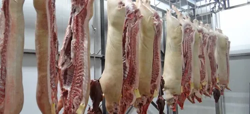 L'activité d'abattage suspendue, à l'abattoir de Valenciennes