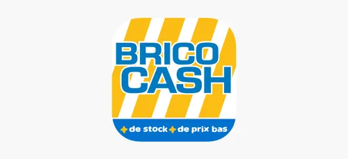 Brico Cash à Montigny-en-Gohelle recrute un conseiller de vente...