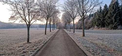 Attention, il a gelé cette nuit