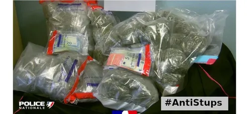 Nouvelle opération anti-stup, dans le Nord