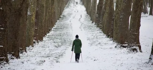 Météo : Jusqu'à 7cm de neige dans les Hauts-de-France pour cette...