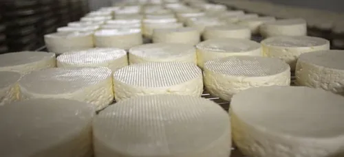 Listeria: Le groupe Lactalis rappelle 24.000 bries, camemberts et...