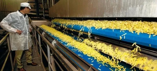 CLAREBOUT recherche Trieur(se) de pomme de terre à Armentieres