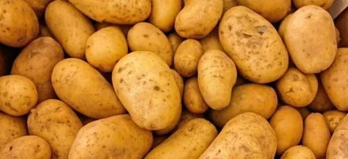 Xavier Bertrand s'inquiète pour la filière "pommes de terre" dans...