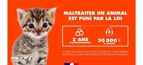 Nord : Ils jettent un chiot par une fenêtre à Cuincy