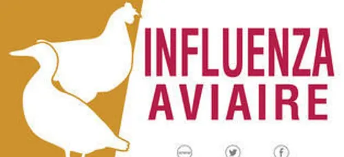 Un nouveau foyer de grippe aviaire dans le Nord