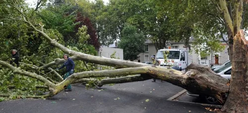 La tempête Gerard fait beaucoup de dégâts en France