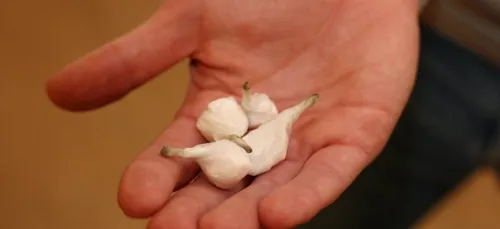 Un bébé testé positif à la cocaïne