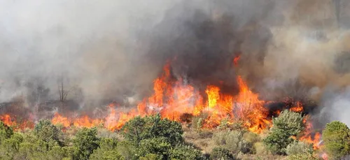 Le feu dans les Pyrénées Orientales, est stabilisé