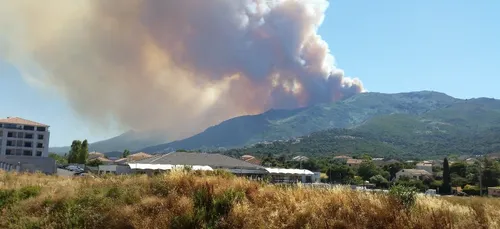 Un feu s'est déclaré hier en Haute Corse