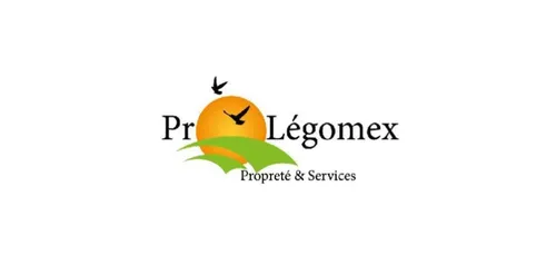 La société Pro Légomex à Roubaix recrute un(e) laveur(se) de vitres...