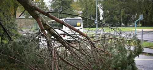 Tempête Ciaran : 2 blessés graves hier dans le Nord
